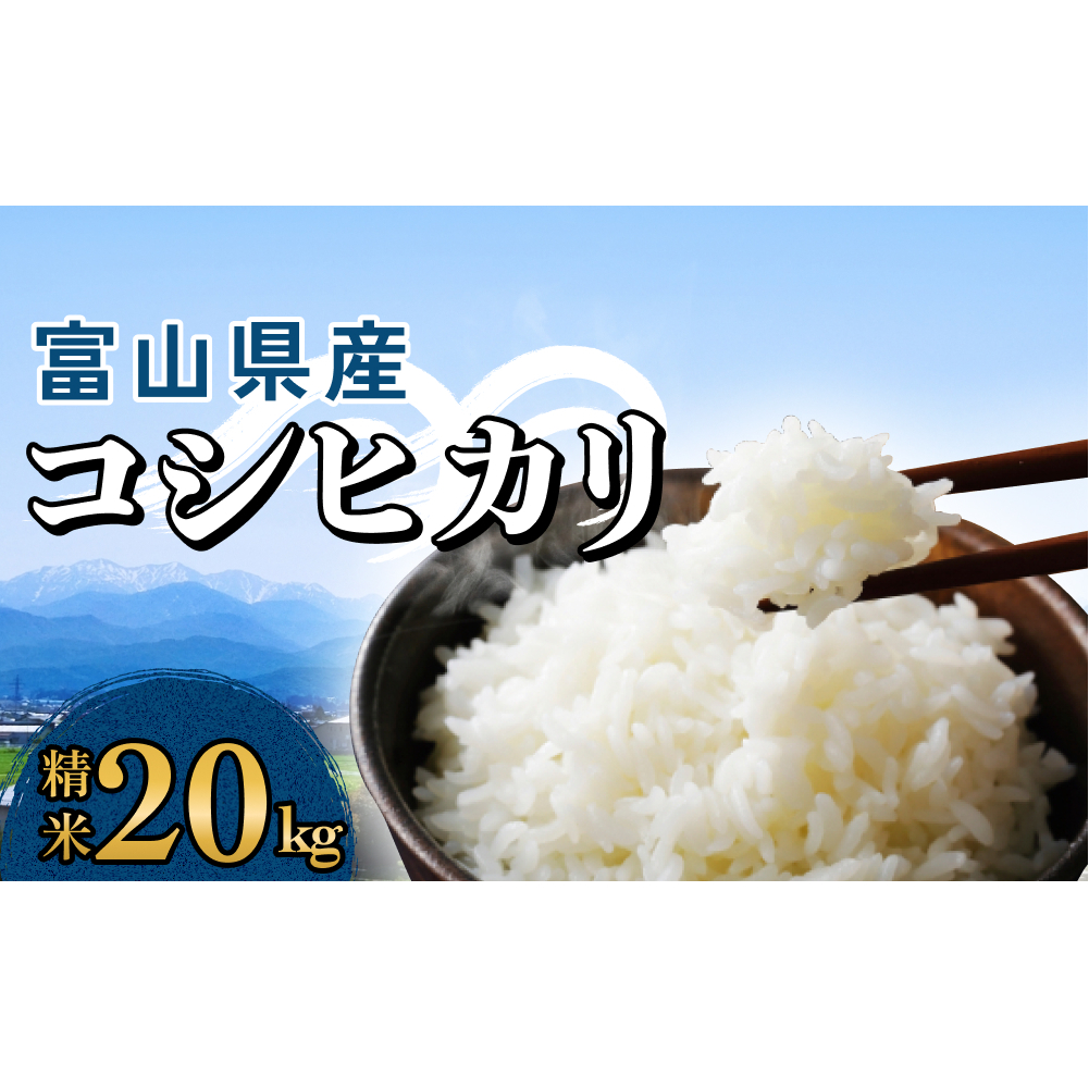 富山県産 コシヒカリ 20kg 精米 