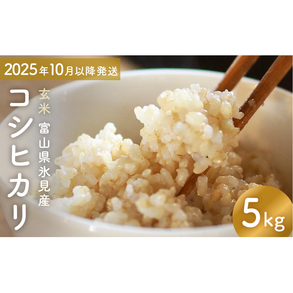 コシヒカリ 玄米 5kg 富山県氷見産 <2025年10月以降発送> 富山県 氷見市 米 コシヒカリ
