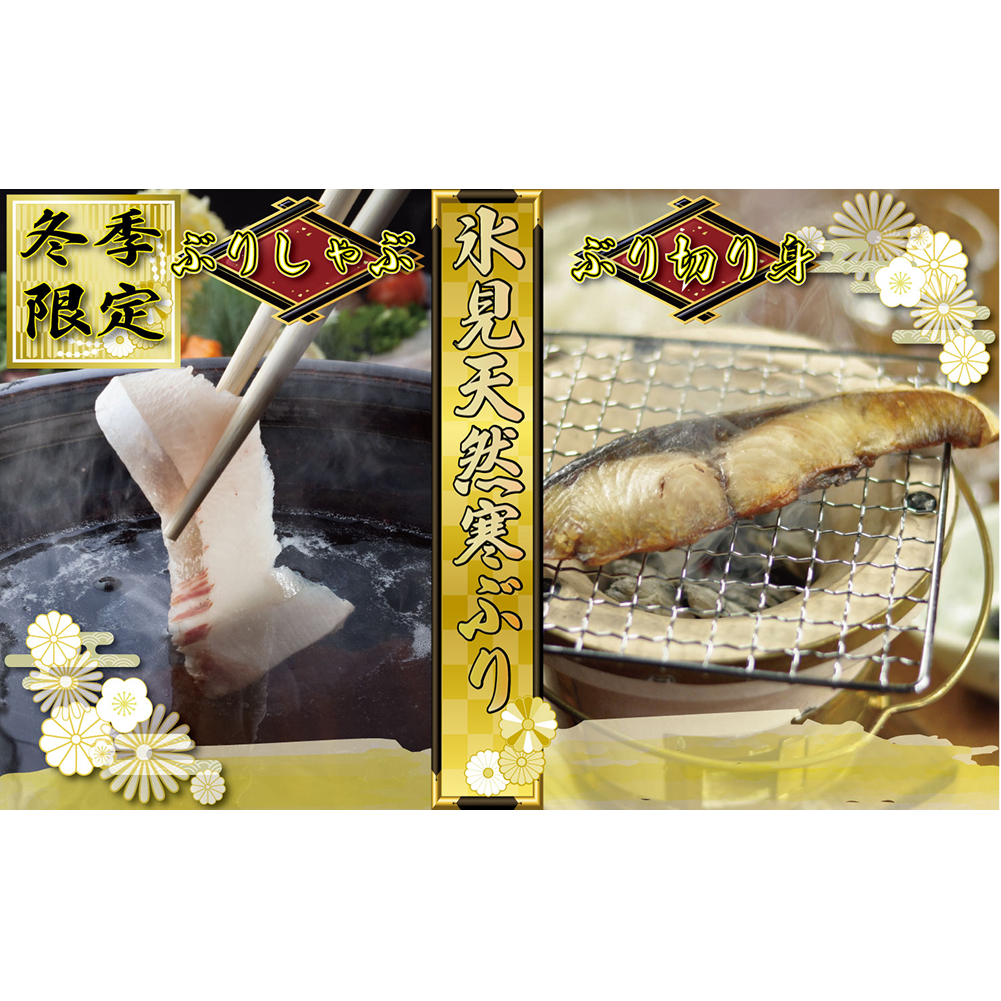 【氷見の天然寒ぶり】冬の味覚限定セット ＜2025年12月中旬以降発送＞  寒ぶり 限定 鰤 富山県 氷見市