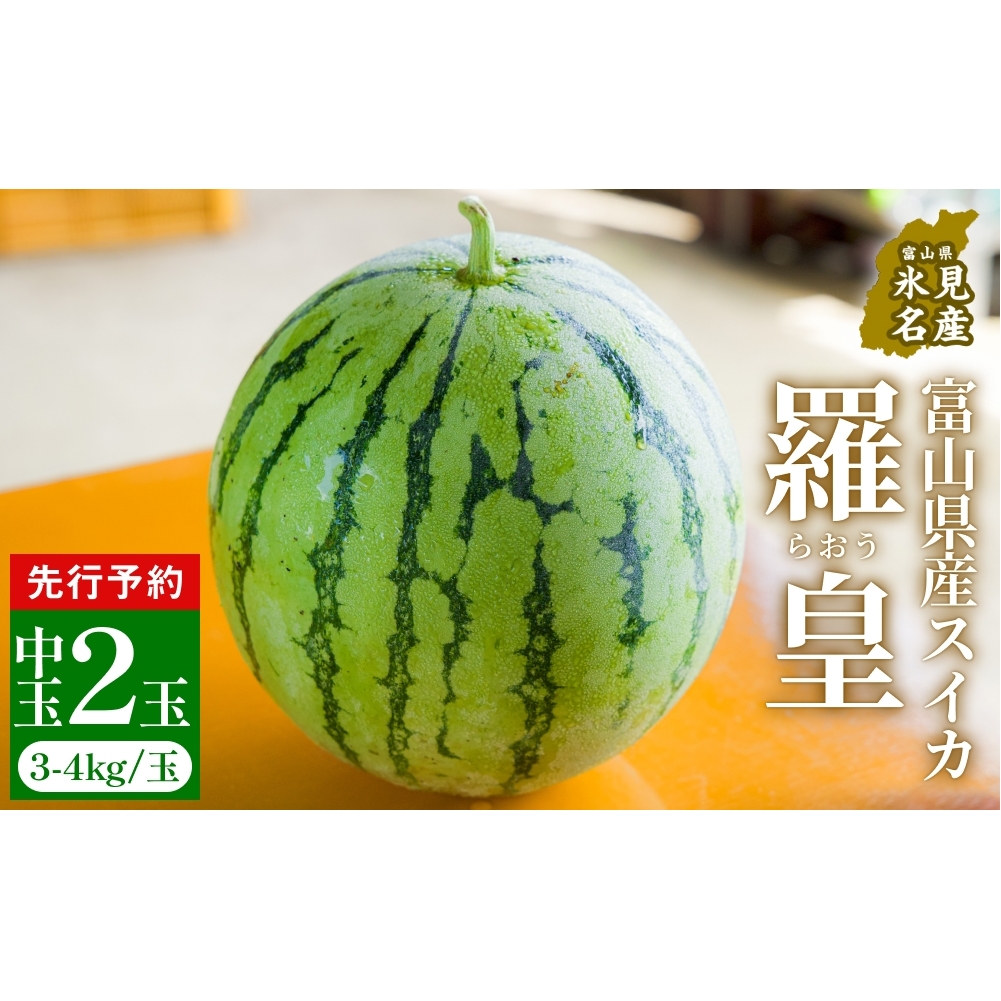 【先行予約】富山県産スイカ 羅皇 中玉 2玉 (3-4kg/玉) 【2026年8月以降順次発送】 スイカ 夏 果物 フルーツ 富山県 氷見市