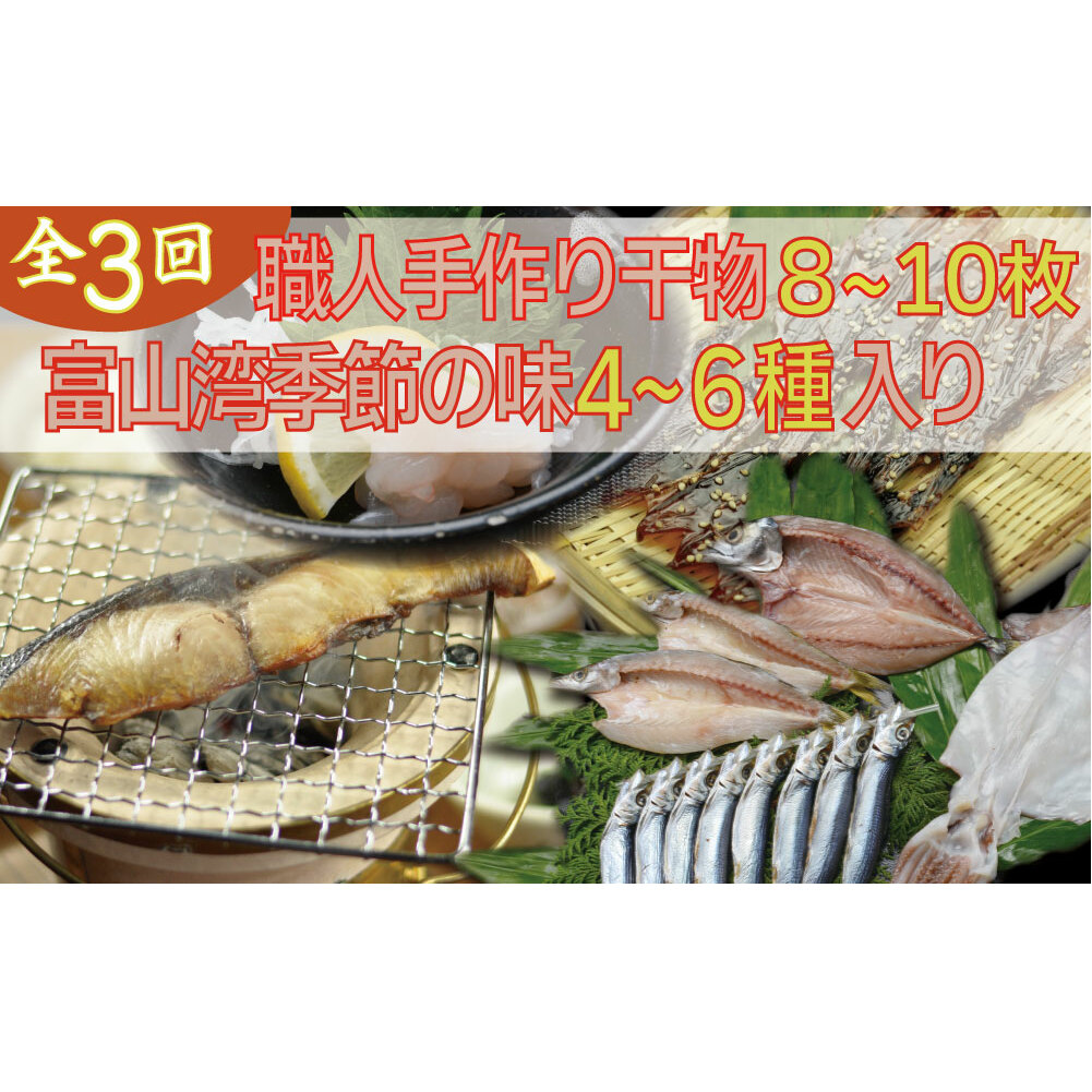 【年間3回定期便】『ホタルイカ』『白えび』『氷見ぶり』季節の味と熟練職人手捌きの一夜干真空パックセット
