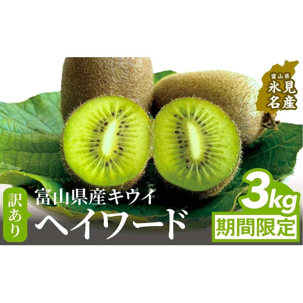 【先行予約】 訳ありヘイワード3kg(小玉、異形、擦り傷、日焼け)  【2025年12月中旬以降順次発送】 数量限定 希少 国産 甘い 氷見キウイランド 富山県 氷見市