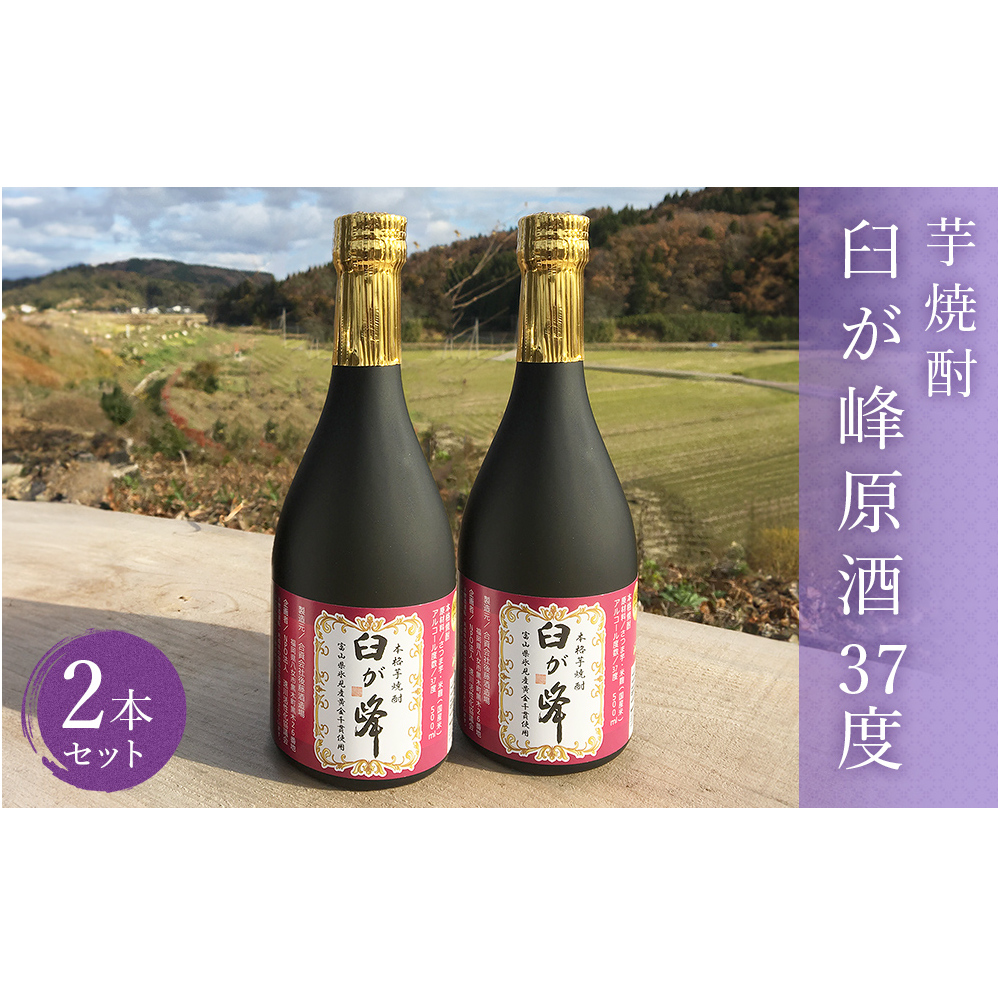 芋焼酎 臼が峰原酒(37度)2本セット | 焼酎 芋焼酎 さつまいも 黄金千貫 原酒 お酒 お取り寄せ 本格焼酎 いも焼酎 家飲み 富山 氷見