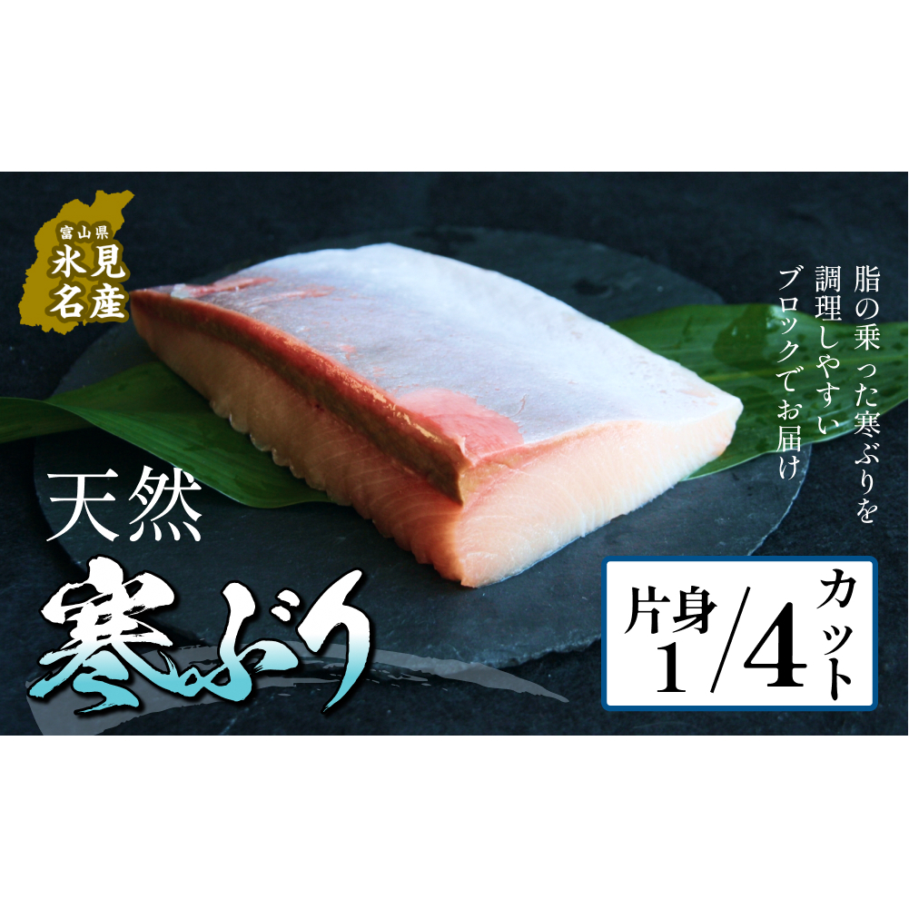 【先行予約】氷見産 天然寒ブリ 片身 1/4カット 【2025年11月中旬以降順次発送】 ブロック 釣屋魚問屋直営 ひみ岸壁市場  富山県 氷見 氷見漁港 能登 寒ブリ 天然鰤 しゃぶしゃぶ 天然 鮮魚 ブリ 産地直送