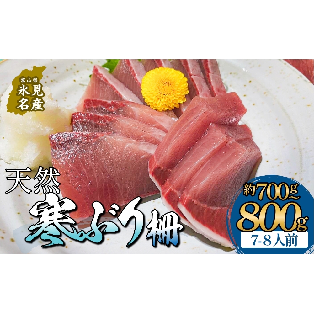 【先行予約】 氷見産 天然寒ぶり 柵 7-8人前 約700g-800g 【2025年11月中旬以降順次発送】 釣屋魚問屋直営 ひみ岸壁市場 富山県 氷見 氷見漁港 能登 寒ブリ 天然鰤 サク ひみ岸壁市場 天然 鮮魚 ブリ 産地直送