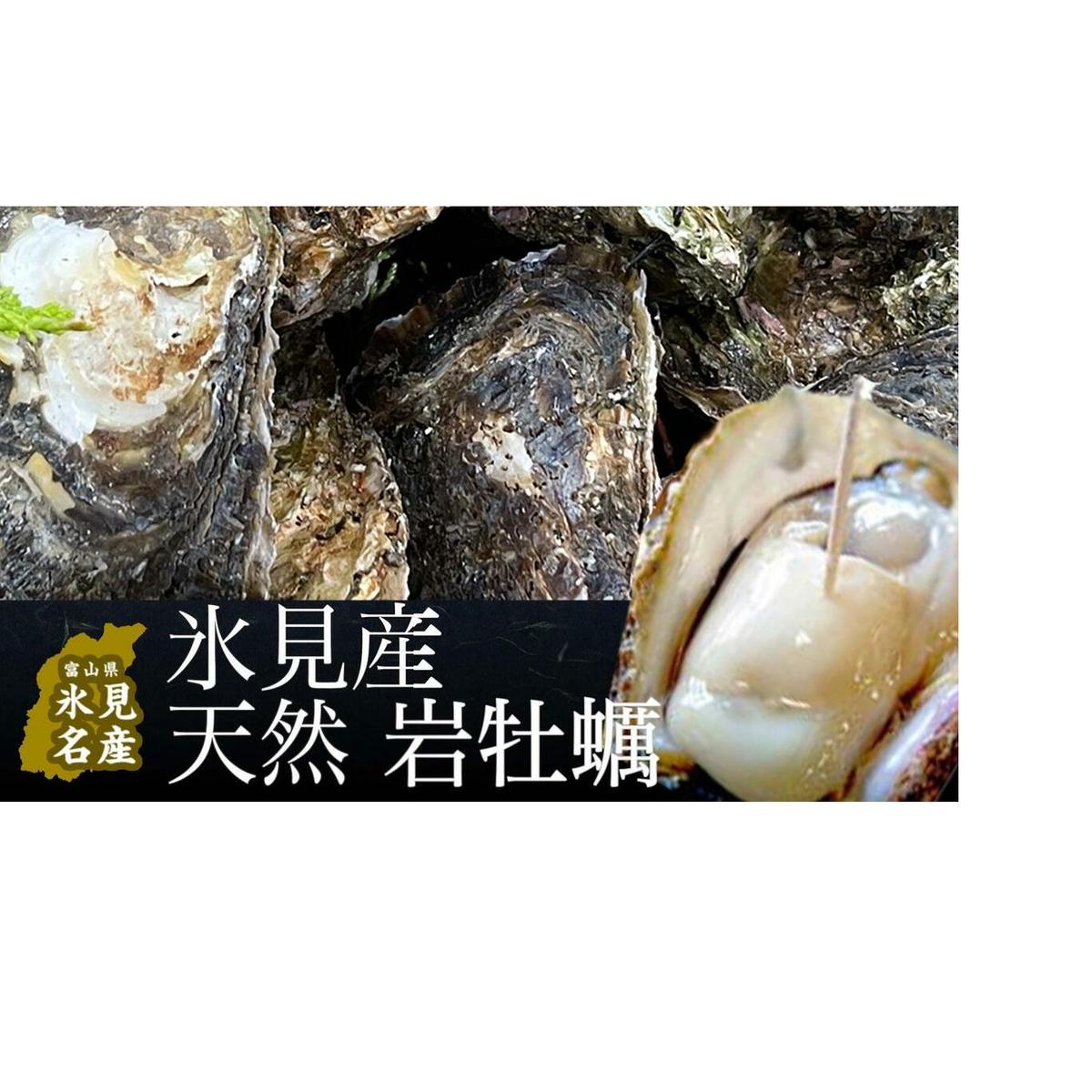 氷見産天然岩ガキ(5個)