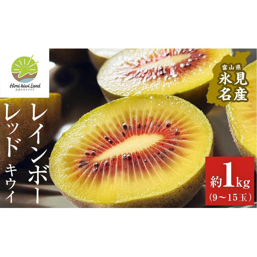 【先行予約】氷見産キウイ(レインボーレッド)1kg以上(9~15玉) 【2025年11月以降順次発送】 | 富山県 氷見市 レインボーレッドキウイ 国産 キウイフルーツ