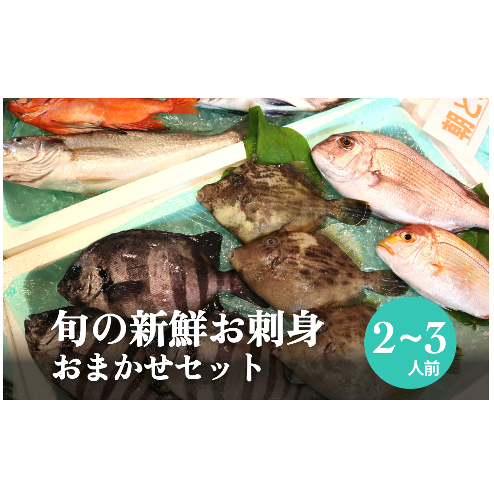 氷見漁港朝どれ!旬の新鮮お刺身おまかせセット 2〜3人前