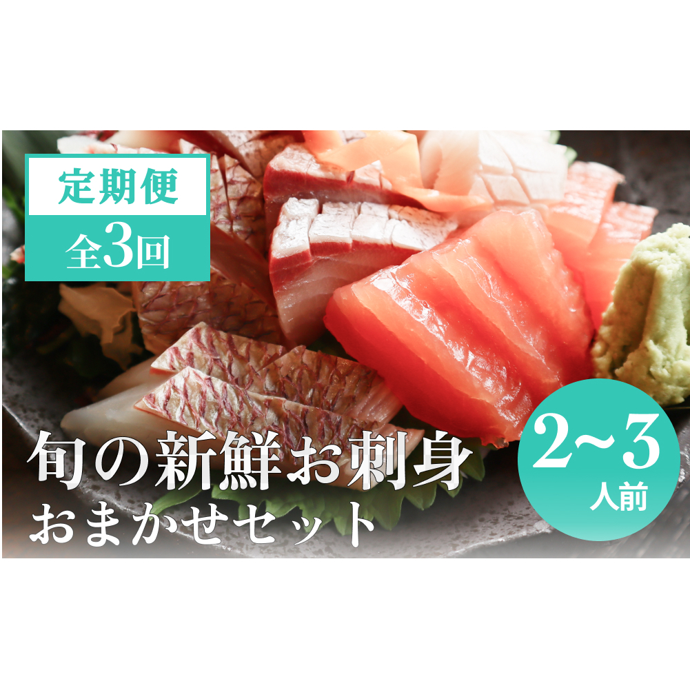[3回 定期便] 氷見漁港朝どれ!旬の新鮮鮮魚おまかせセット 2,3人前(3月・6月・11月)