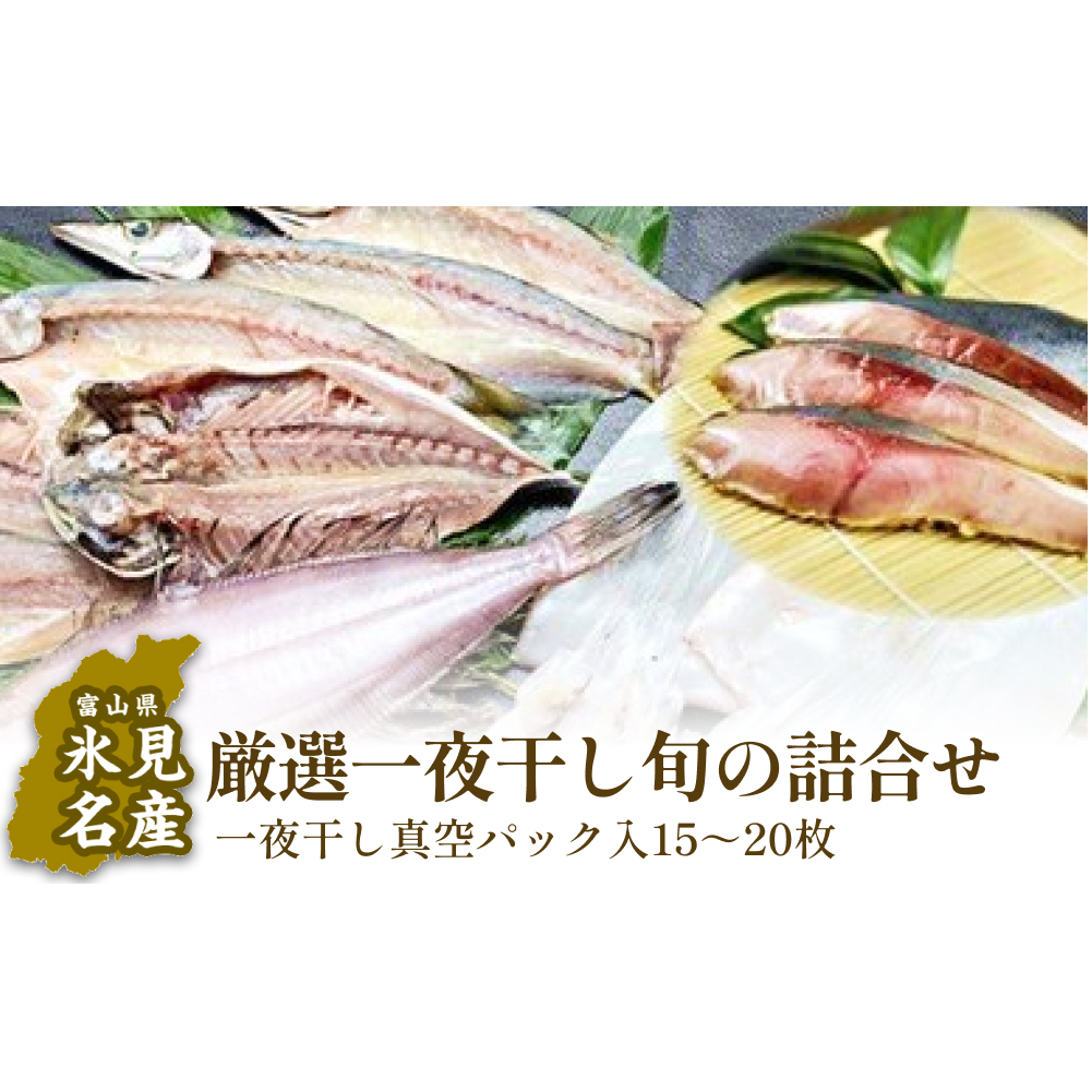 氷見産厳選一夜干し旬の詰合せ　【魚貝類・干物】