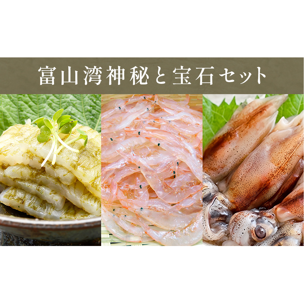 富山湾の神秘"ほたるいか"と富山湾の宝石"白エビ"セット[冷凍]