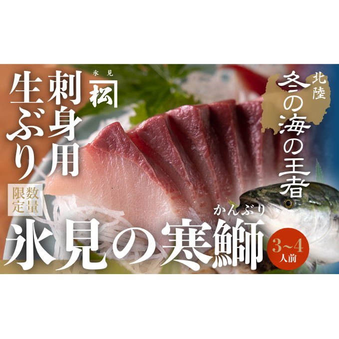 [先行予約][魚問屋直送]天然「生ひみ寒ぶり」刺身用 約400g[アラ付き]