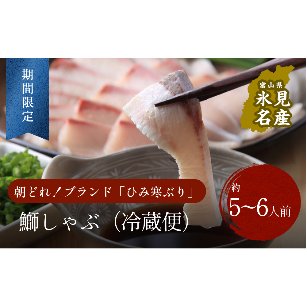【先行予約】【期間限定】 ひみ寒ぶり ぶりしゃぶ用 5~6人前 〈配送地域限定〉