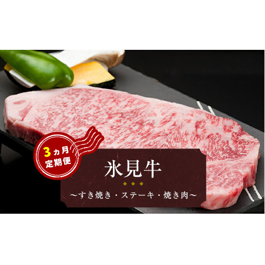 氷見牛　3ヶ月連続お届け　【定期便・牛肉・お肉】