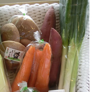 氷見野菜ごちそうセット