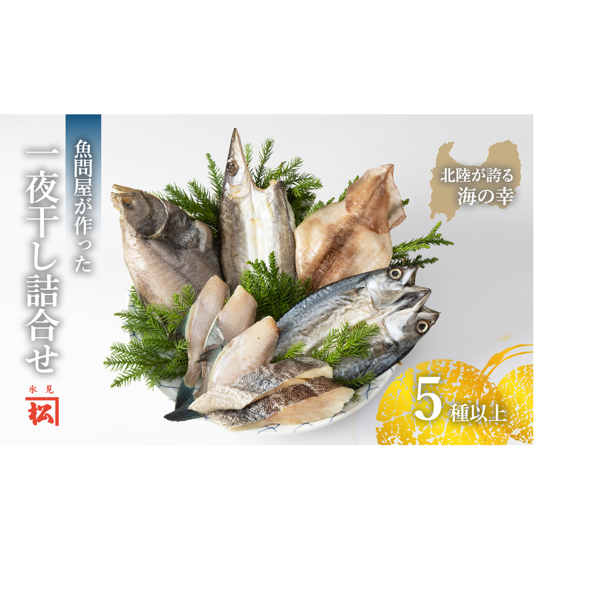 一夜干し詰合せ 富山県 氷見市 干物 一夜干し 詰め合わせ 加工食品