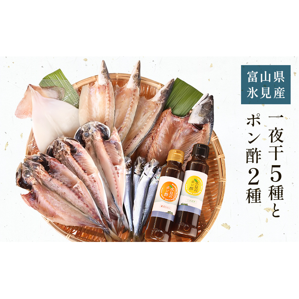 氷見 堀与の一夜干5種とポン酢2種のセット 富山県 氷見市 魚 干物 一夜干し ポン酢 柑橘 セット