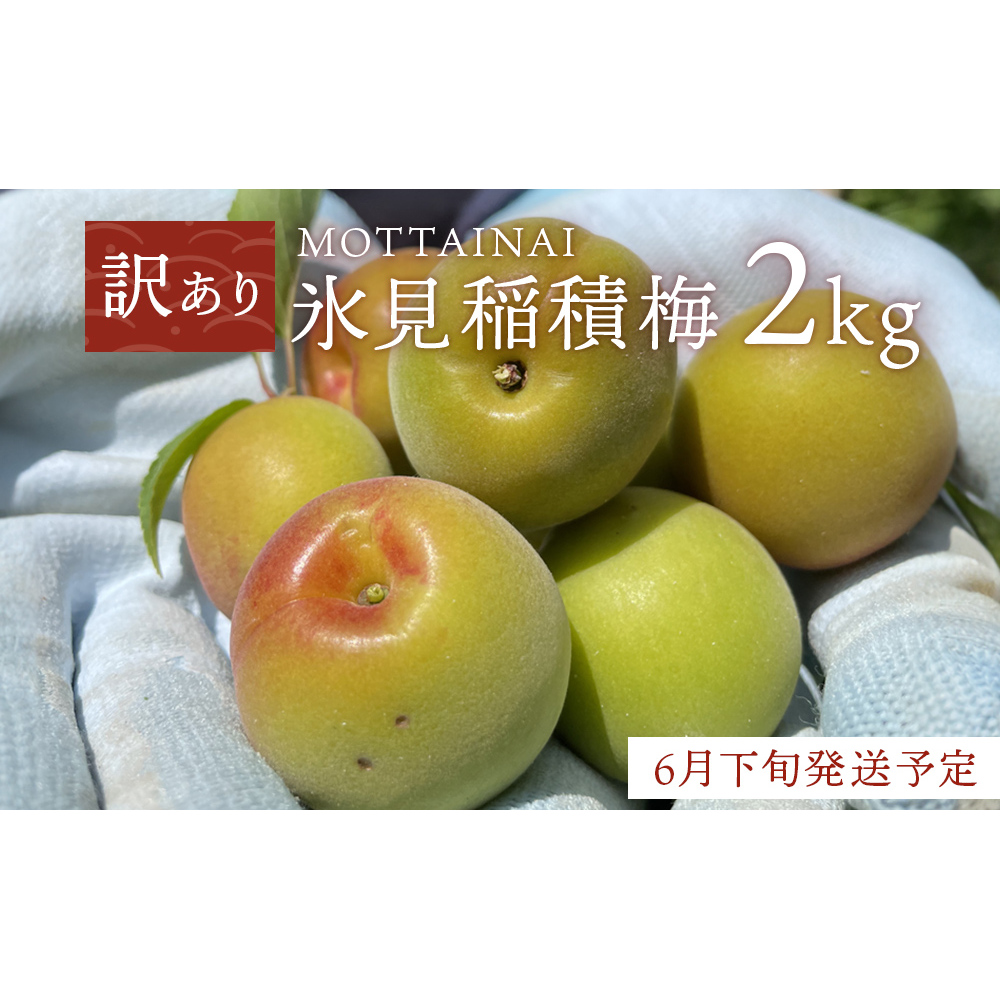 [訳あり][先行予約]MOTTAINAI 氷見稲積梅 2kg [6月下旬発送予定] 富山県 氷見市 青梅 果物 訳アリ