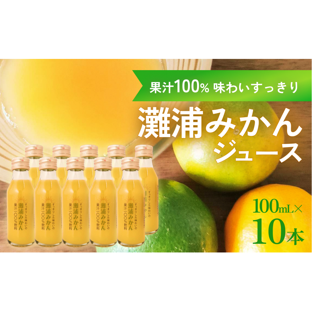 すっきりした味わいの灘浦みかん果汁100%飲料10本セット 富山県 氷見市 フルーツ みかんジュース 柑橘 ストレートジュース