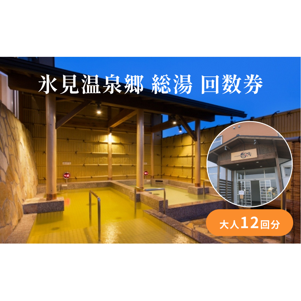 氷見温泉郷 総湯 回数券(大人12回分) 富山県 氷見市 温泉 お湯 回数券