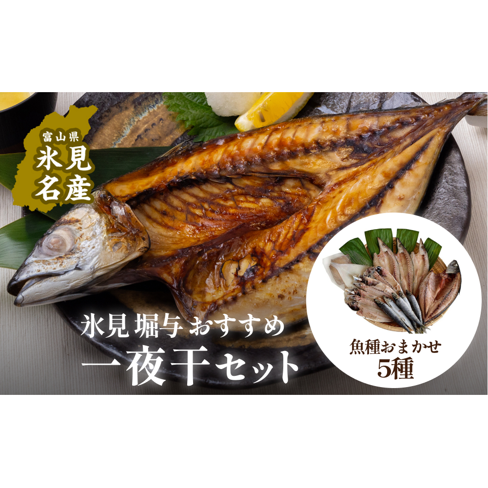 氷見 堀与 おすすめ一夜干5種セット