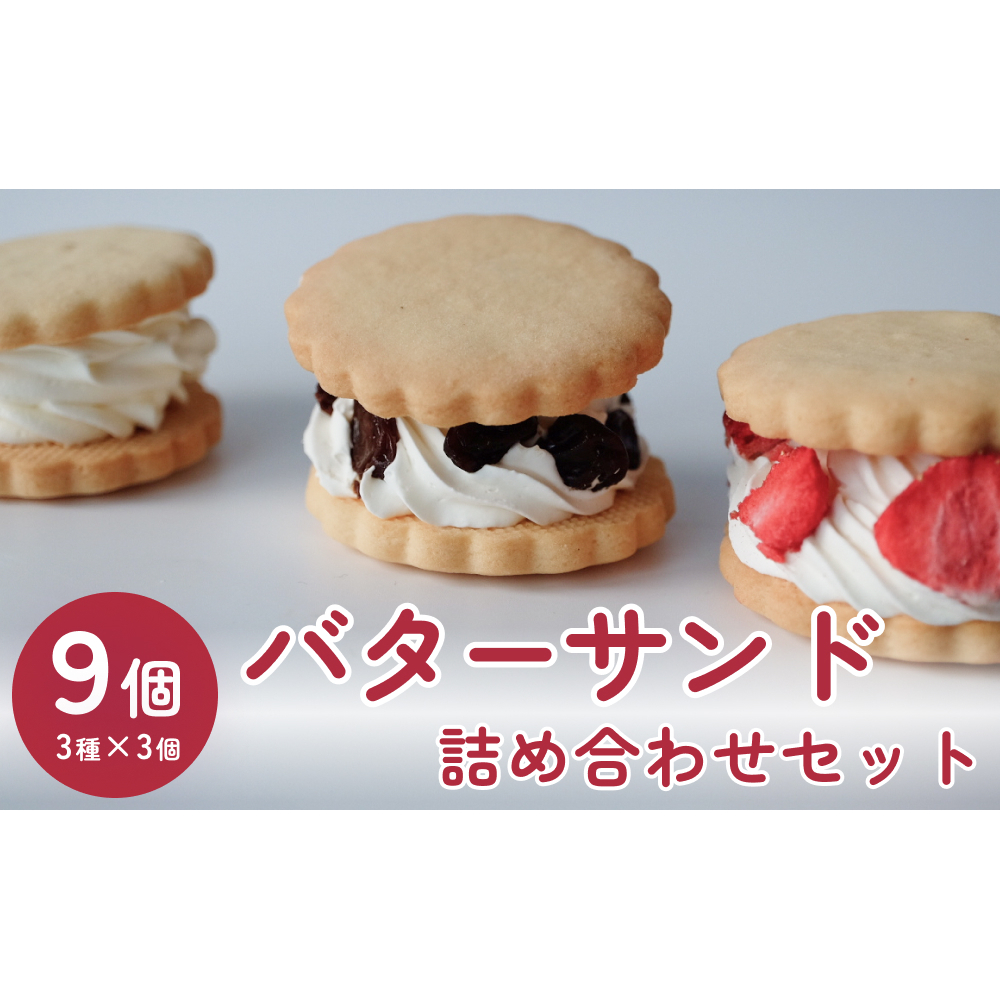 バターサンド 3種×3個 詰め合わせセット 富山県 氷見市 お取り寄せ スイーツ 菓子 クッキーサンド