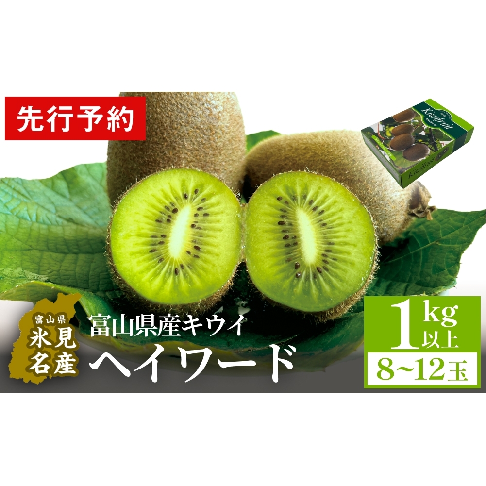 【先行予約】富山県産キウイ(ヘイワード)1kg以上(8~12玉)  【2025年12月中旬以降順次発送】  | 国産 数量限定 グリーンキウイ 富山 氷見 果物 フルーツ キウイ