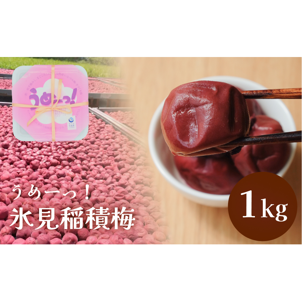 うめーっ!氷見稲積梅 梅干し1kg 富山県 氷見市 梅干 1キロ 酸っぱい