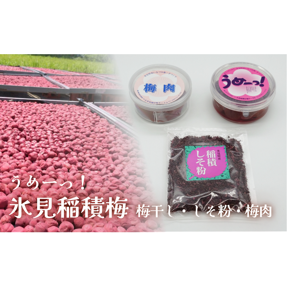 うめーっ！氷見稲積梅 梅干し・しそ粉・梅肉セット 富山県 氷見市 梅干 しそ 酸っぱい
