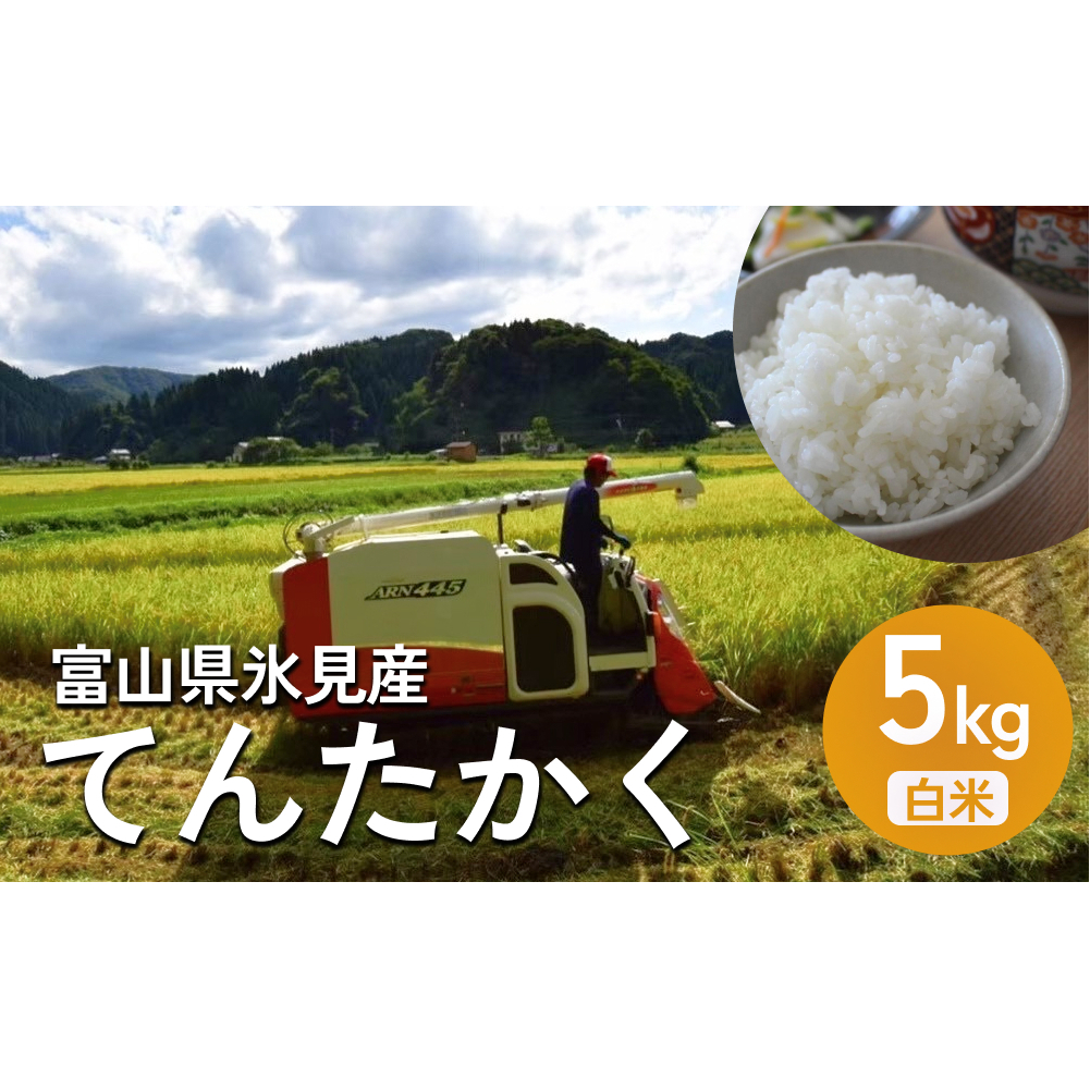 [先行予約] 令和7年産 富山県氷見産 てんたかく白米 5kg [2025年9月以降順次発送] 富山県 氷見市 米 てんたかく