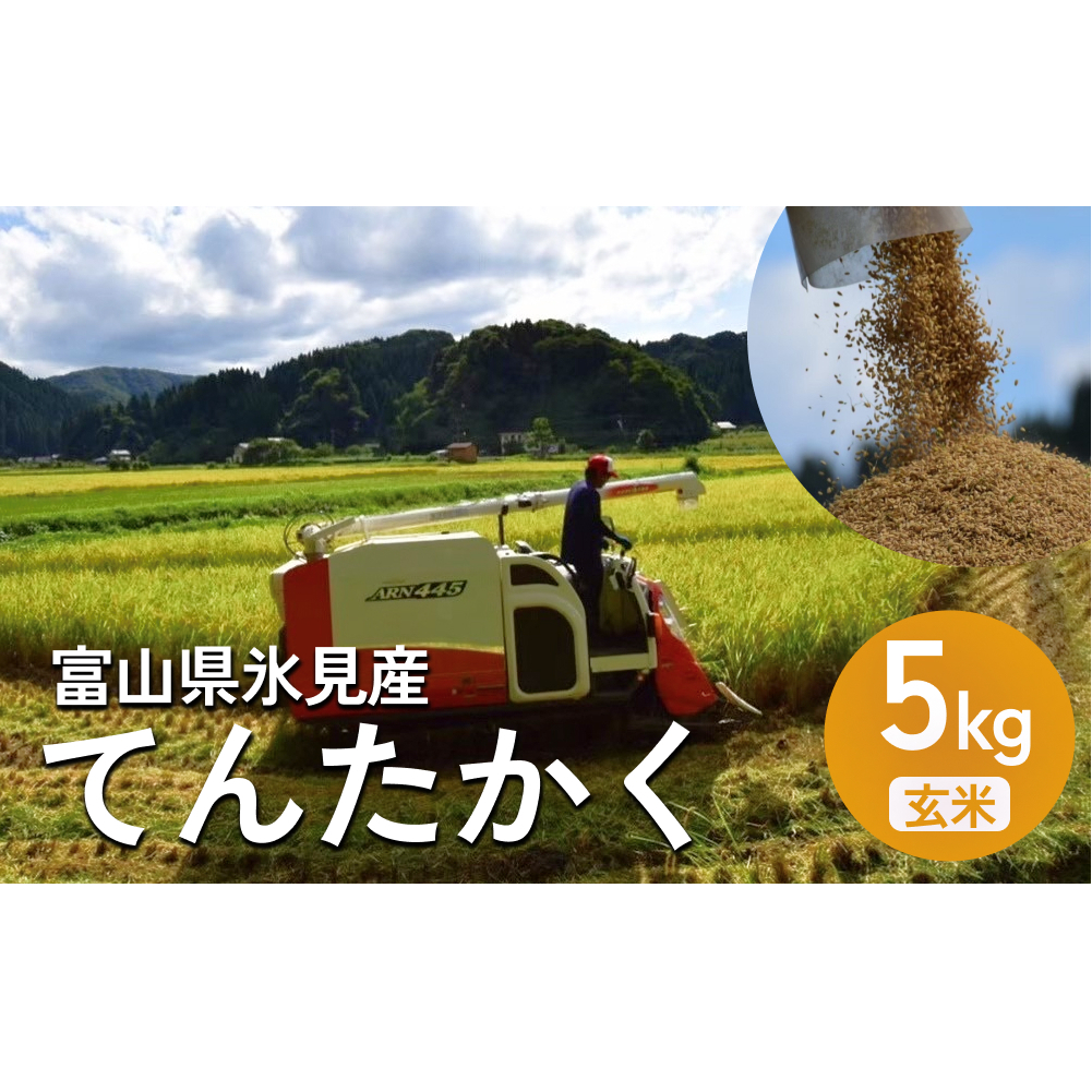 令和6年産 富山県氷見産 てんたかく 玄米 5kg 富山県 氷見市 米 てんたかく