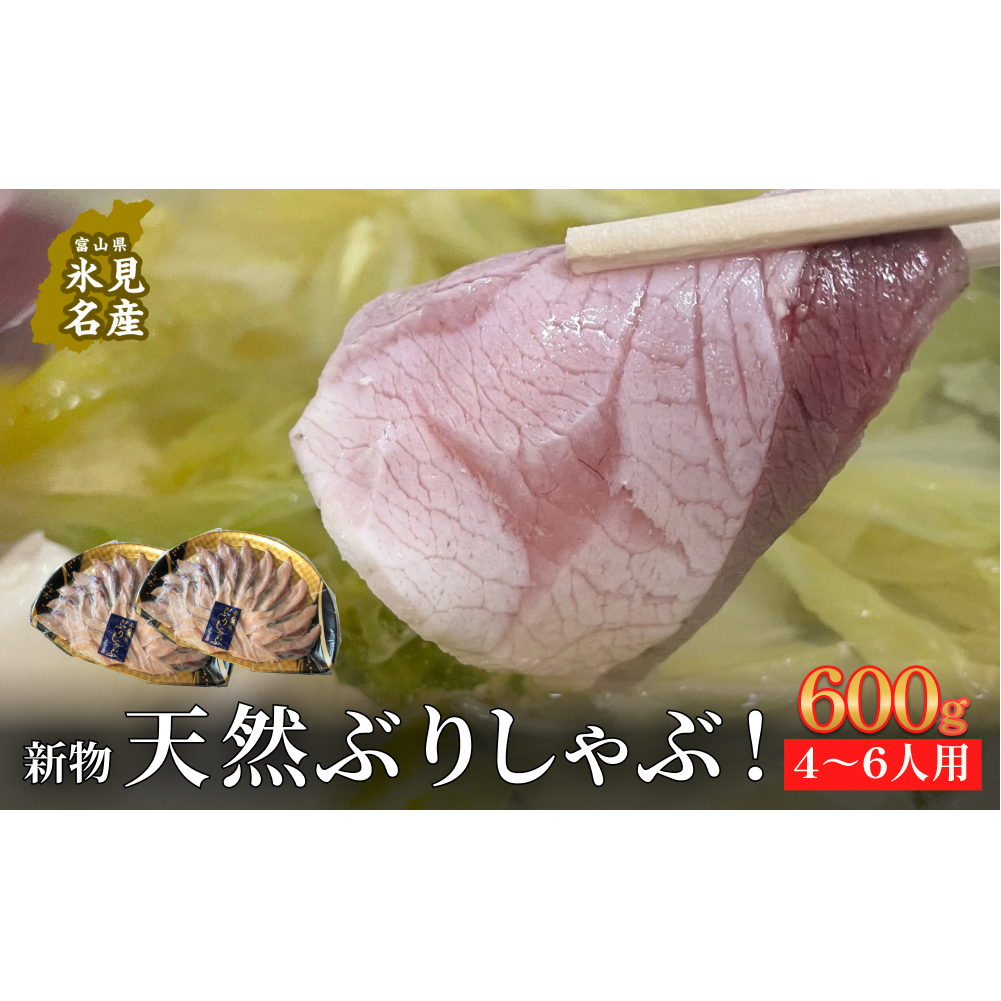 [氷見鰤]新物天然ぶりしゃぶ!300g×2パック 2〜3人用 満足サイズ | 鰤 ブリしゃぶ しゃぶしゃぶ 国産 天然 ブリ 富山 氷見 お取り寄せ 特産品 冷凍 肴 氷見漁港 富山湾 天然鰤 鍋 簡単調理