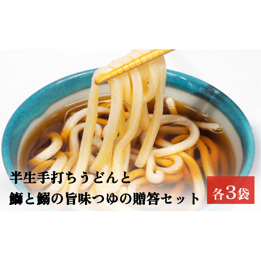 半生うどんとつゆの贈答セット 各二人前×3袋 富山県 氷見市 うどん つゆ ギフト プレゼント