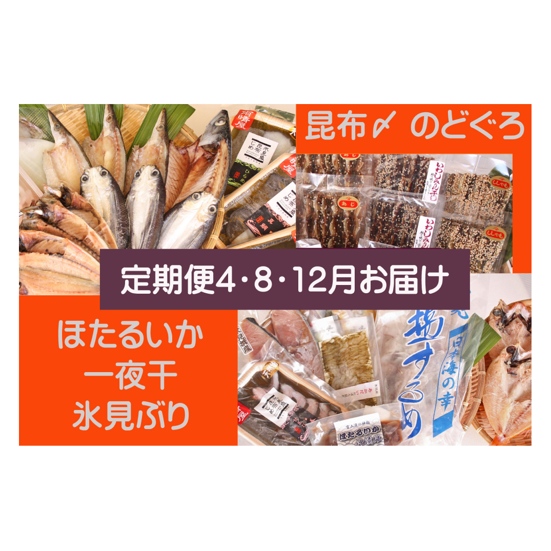 [年3回定期便]氷見の味を食べつくす![氷見鰤・昆布〆刺身・蛍いか・のどぐろ入] 富山県 氷見市 干物 詰め合わせ 魚介類