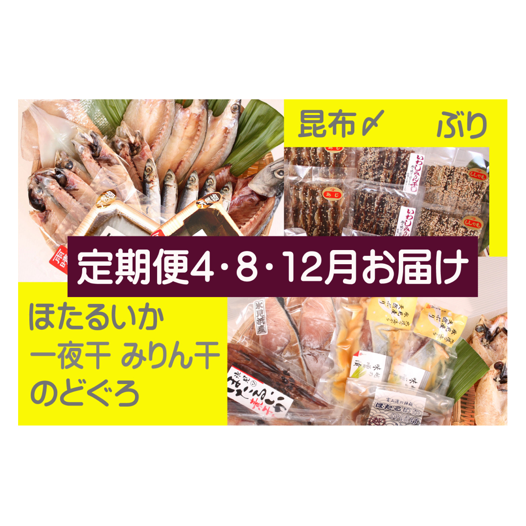 [年3回定期便]氷見堀与季節の干物・海産物 [氷見ぶり、昆布〆刺身、蛍いか、のどぐろ入] 富山県 氷見市 干物 詰め合わせ 魚介類