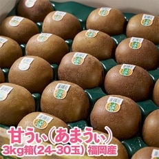 福岡限定!ブランドキウイ「甘うぃ(あまうぃ)」約3kg箱(24-30玉)(大野城市)【配送不可地域:離島】【1125951】