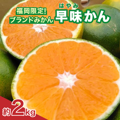 福岡限定!オリジナルブランドみかん「早味かん」約2kg(大野城市)【配送不可地域:離島】【1091055】