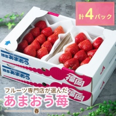 【2026年発送先行受付】フルーツ専門店が選んだ「あまおう苺」春250g×4パック(大野城市)【配送不可地域：離島】【1083237】