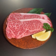 【博多和牛】サーロインステーキ500g(250g×2枚)【配送不可地域:離島】【1259479】