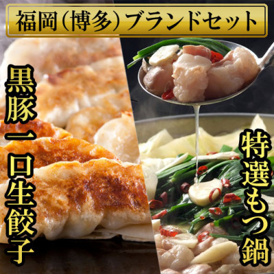 博多黒豚一口生餃子(3パック分け75個)ともつ鍋(2.5人前) 少人数様向け福岡ブランドセット【配送不可地域:離島】【1439460】