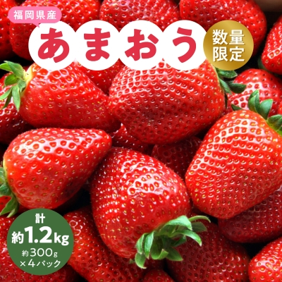 【数量限定】2026年2月より順次発送 福岡県産あまおう4パック【配送不可地域：離島】【1211836】