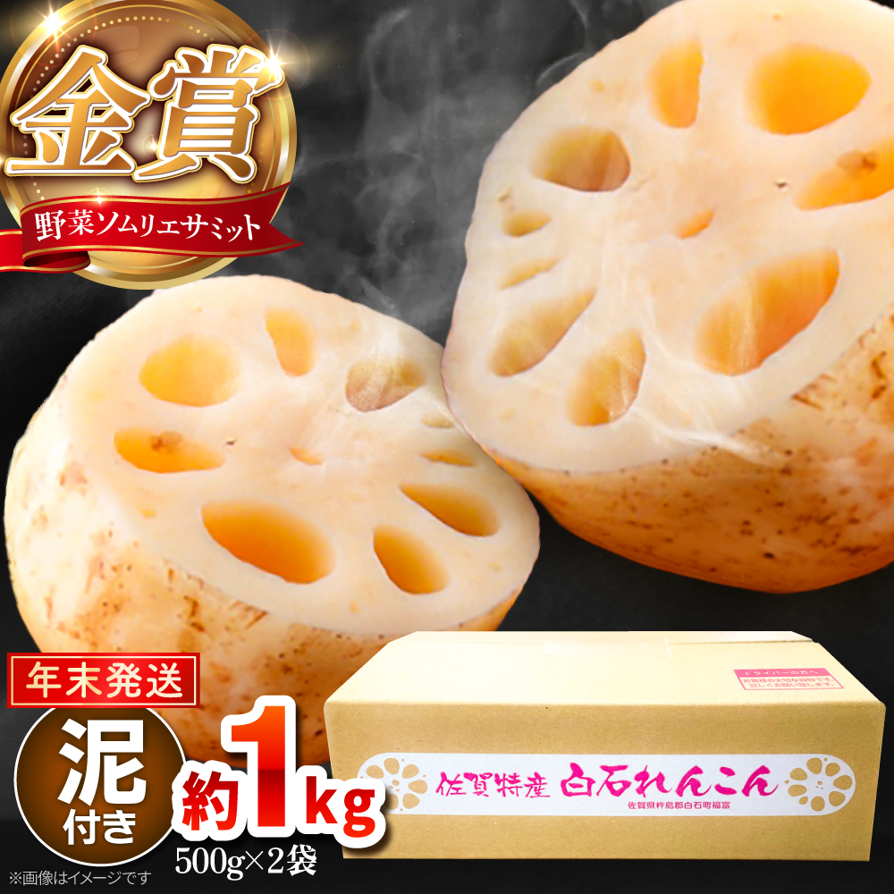 【先行予約】【年末発送】【金賞受賞！】松尾青果のこだわり白石れんこん 約1kg（500g×2袋）【松尾青果】 [IBD017]