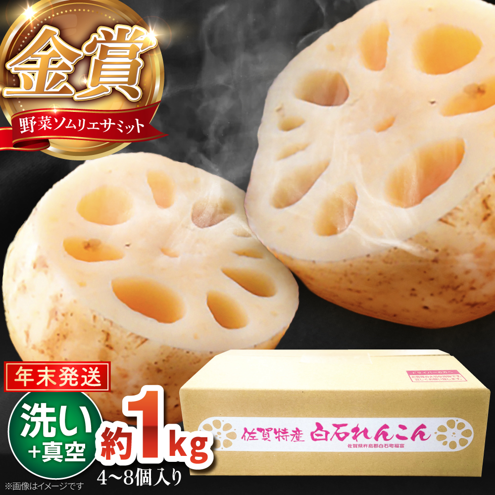 【先行予約】【年末発送】【金賞受賞！】【真空パック】松尾青果のこだわり白石れんこん 約1kg （4-8個入り）【松尾青果】 [IBD018]