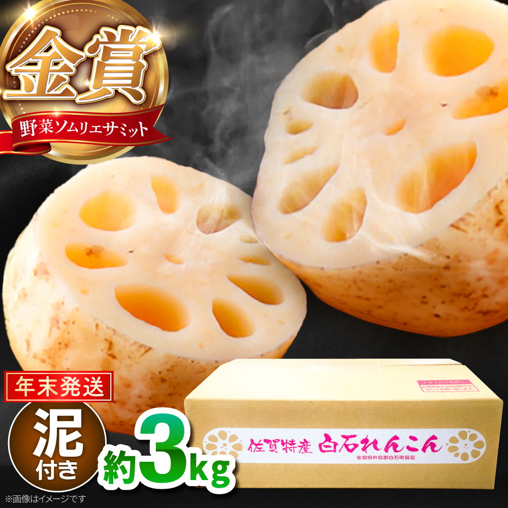 【先行予約】【年末発送】【金賞受賞！】松尾青果のこだわり白石れんこん 約3kg【松尾青果】 [IBD019]