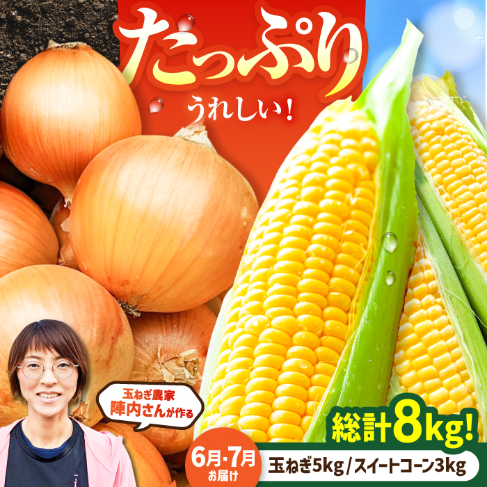 [2回定期便]農家直送!晩生玉ねぎとスイートコーンの定期便[玉葱農家 陣内ちひろ]コーン とうもろこし とうきび タマネギ 玉葱 玉ネギ 野菜 定期便 セット 晩生 未来 ドルチェドリーム 新鮮 産地直送 季節 