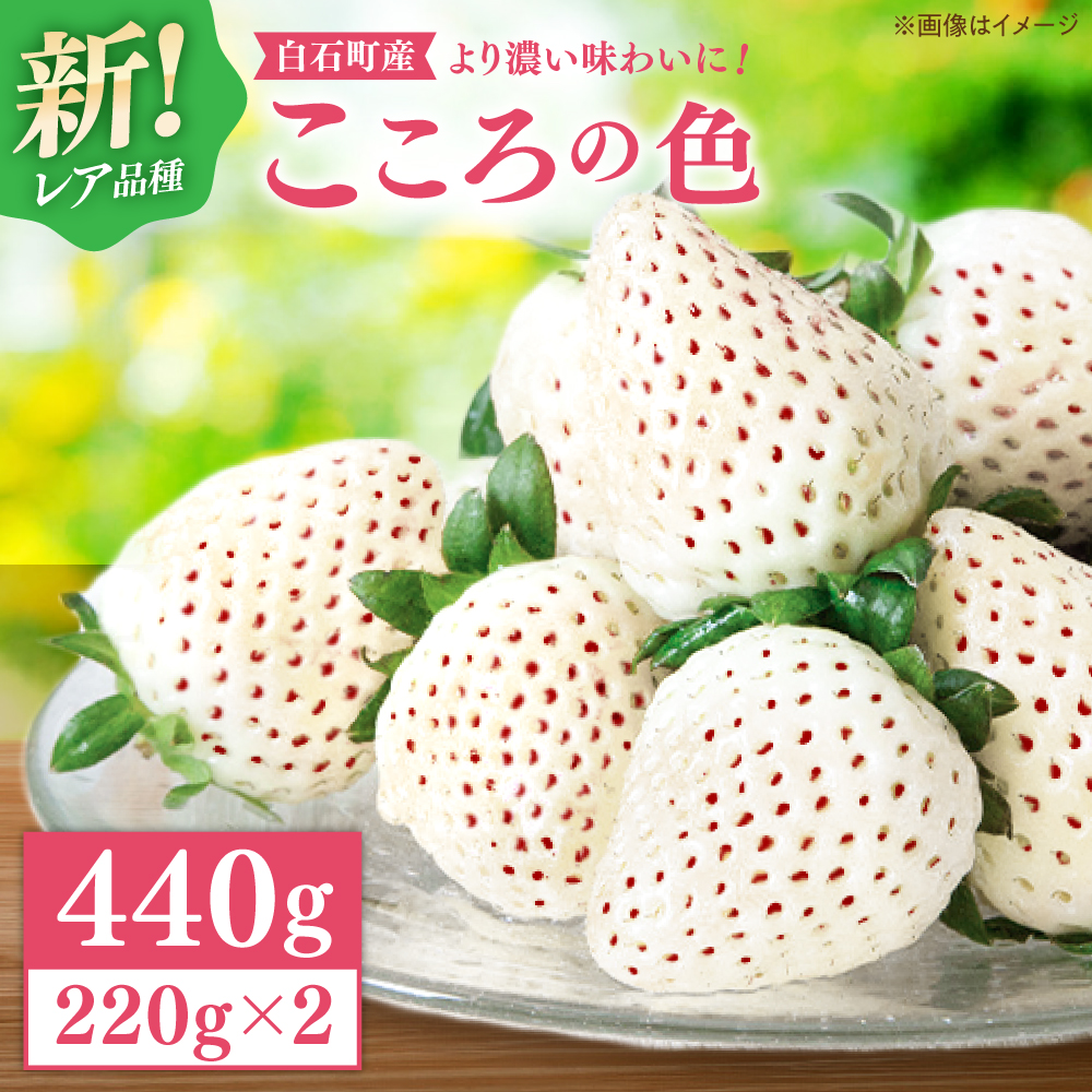 【R8年1月以降発送】【幻の白いちご】 こころの色 220g×2パック 【StrawberryFarm-K】 [IBJ010]