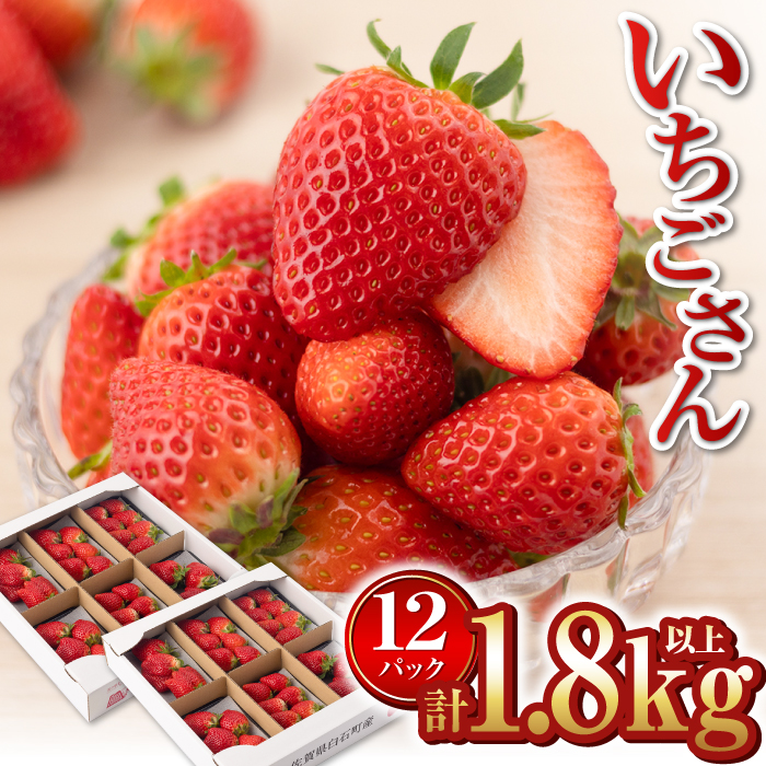【R8年1月以降発送】【産地直送】白石産いちご「いちごさん」 約150g×12パック（計1800g以上）【道の駅しろいしカンパニー】 [IAA039]