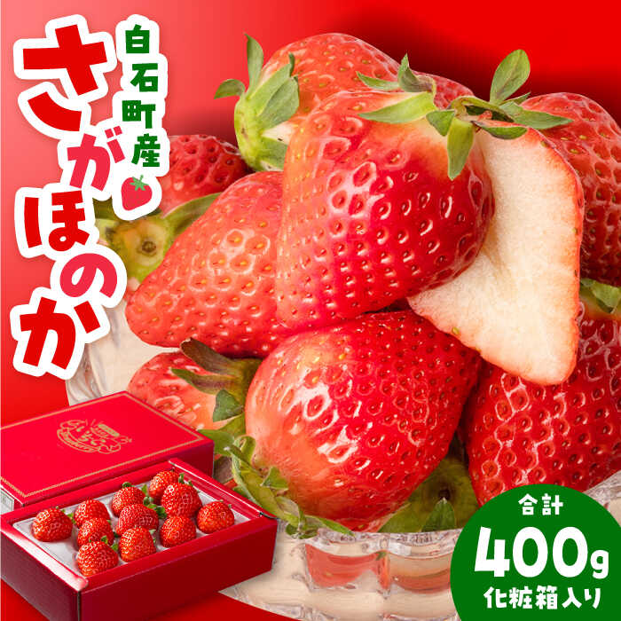 【先行予約】【農家直送】（化粧箱入り）白石産いちご「さがほのか」400g【岸川農園】  [IAP003]
