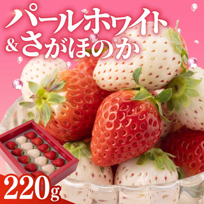 【先行予約】 【農家直送】 いちご食べ比べ！『さがほのか』と『パールホワイト』220g 化粧箱入り 【ハヤシダファーム】 [IAQ004]