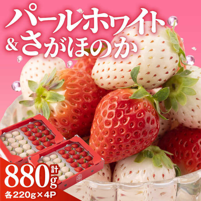 【先行予約】 いちご食べ比べ！『さがほのか』と『パールホワイト』220g×各2パック 計4パック【ハヤシダファーム】 [IAQ017]